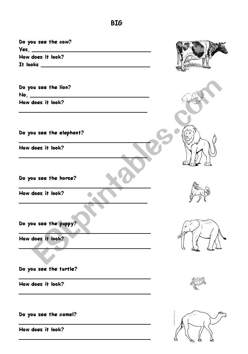 BIG(2) worksheet