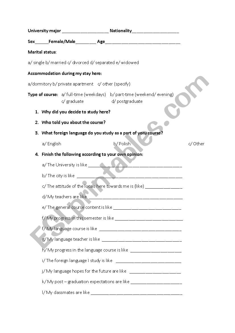 Metaphor survey worksheet