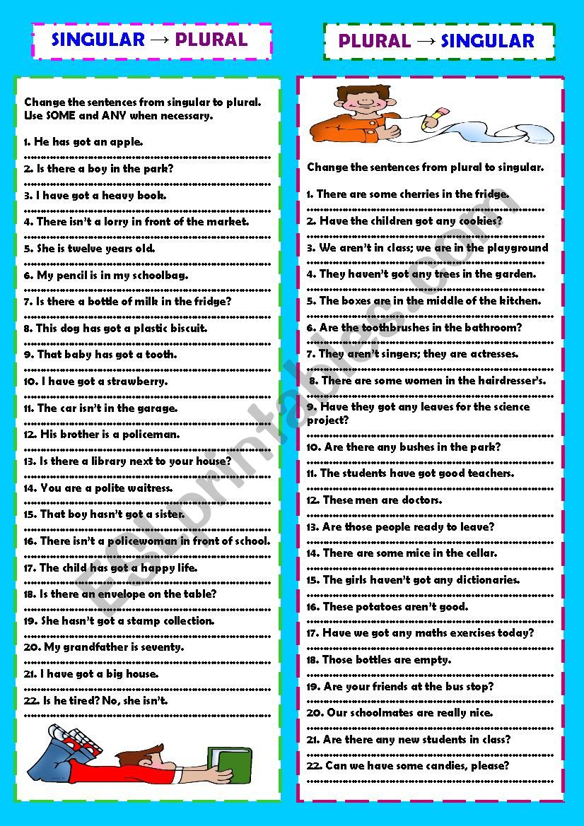 Singular & plural practice worksheet