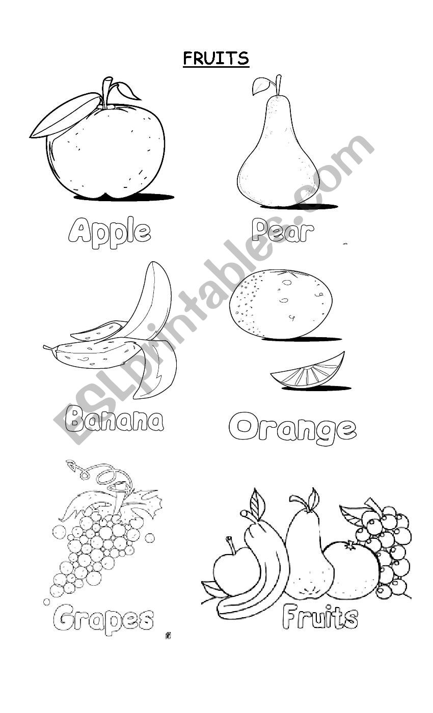 The fruits worksheet