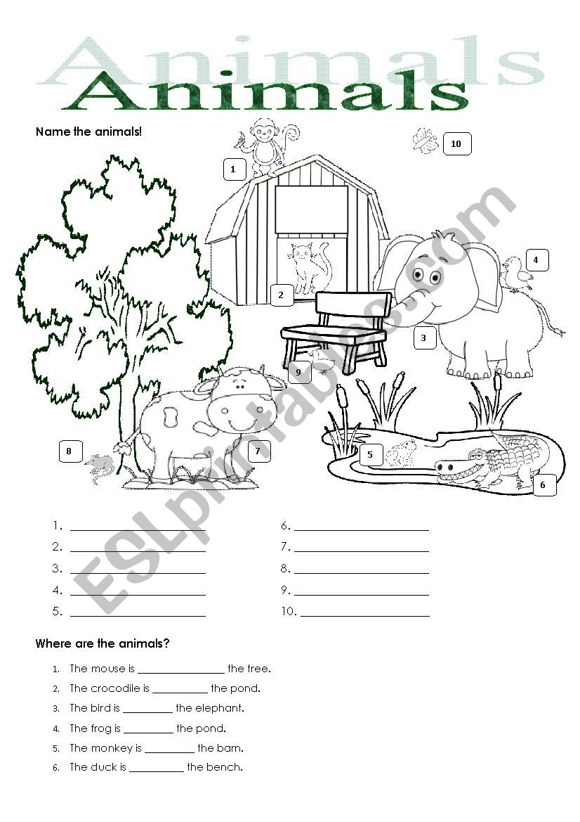 ANIMALS worksheet