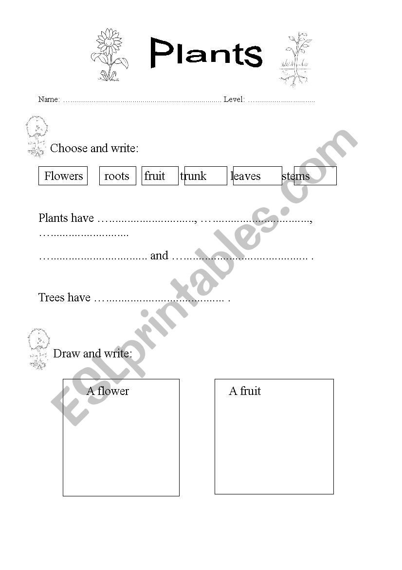 Plants 1  worksheet