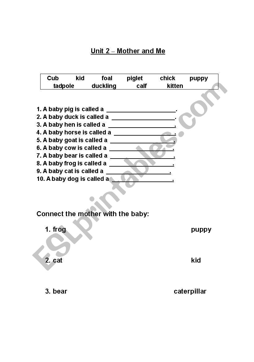 Animals worksheet