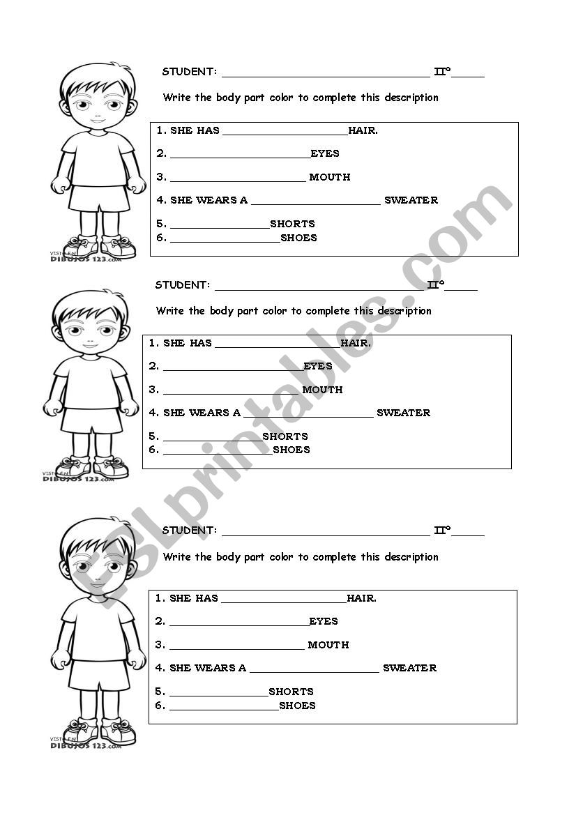 BODY PARTS DESCRIPTION  worksheet