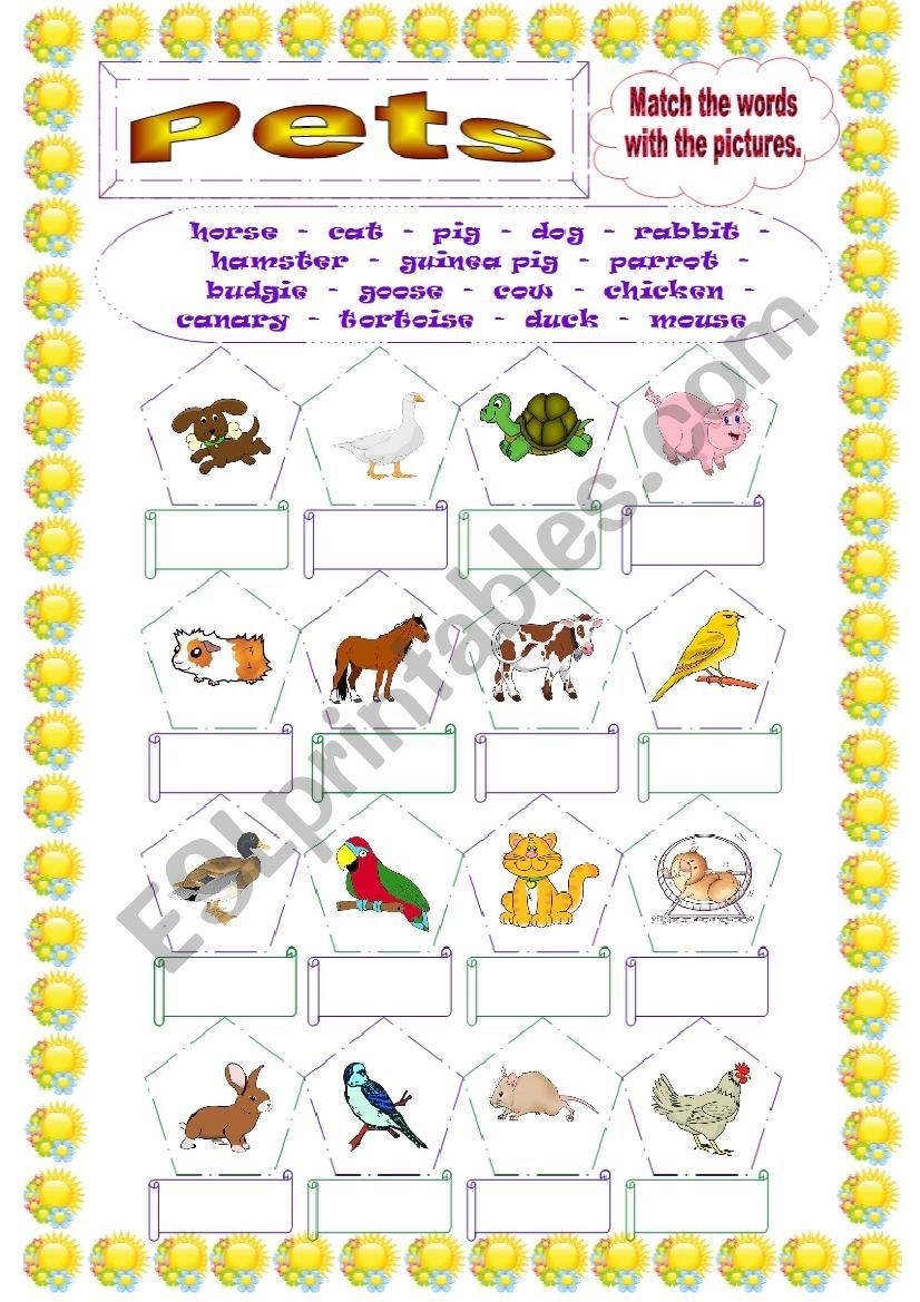 Pets worksheet