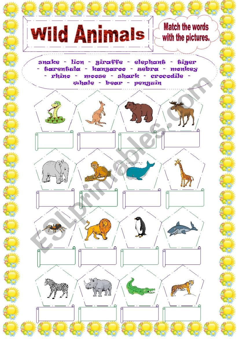 Wild animals worksheet