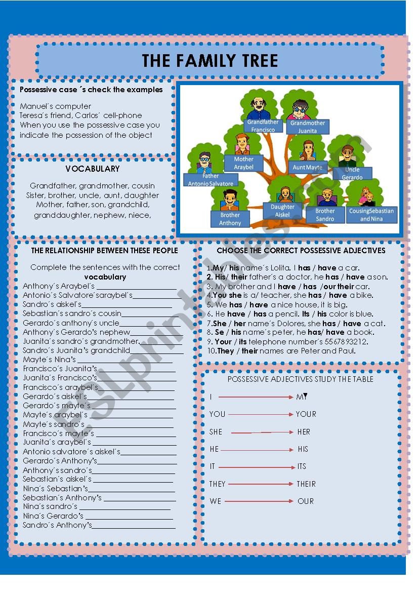 FAMILY TREE / VERB HAVE HAS POSSESSIVE ADJECTIVES