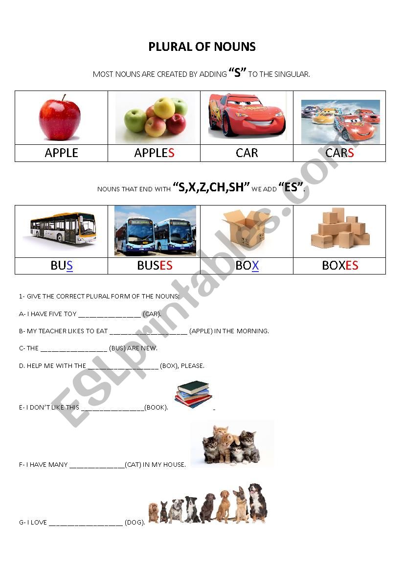 PLURAL OF NOUNS worksheet