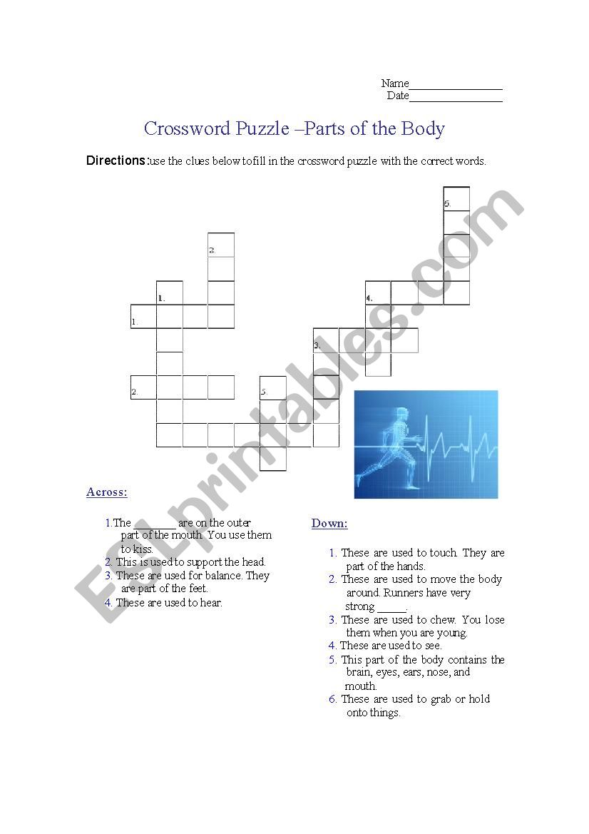 Crossword Puzzle - Parts of the Body