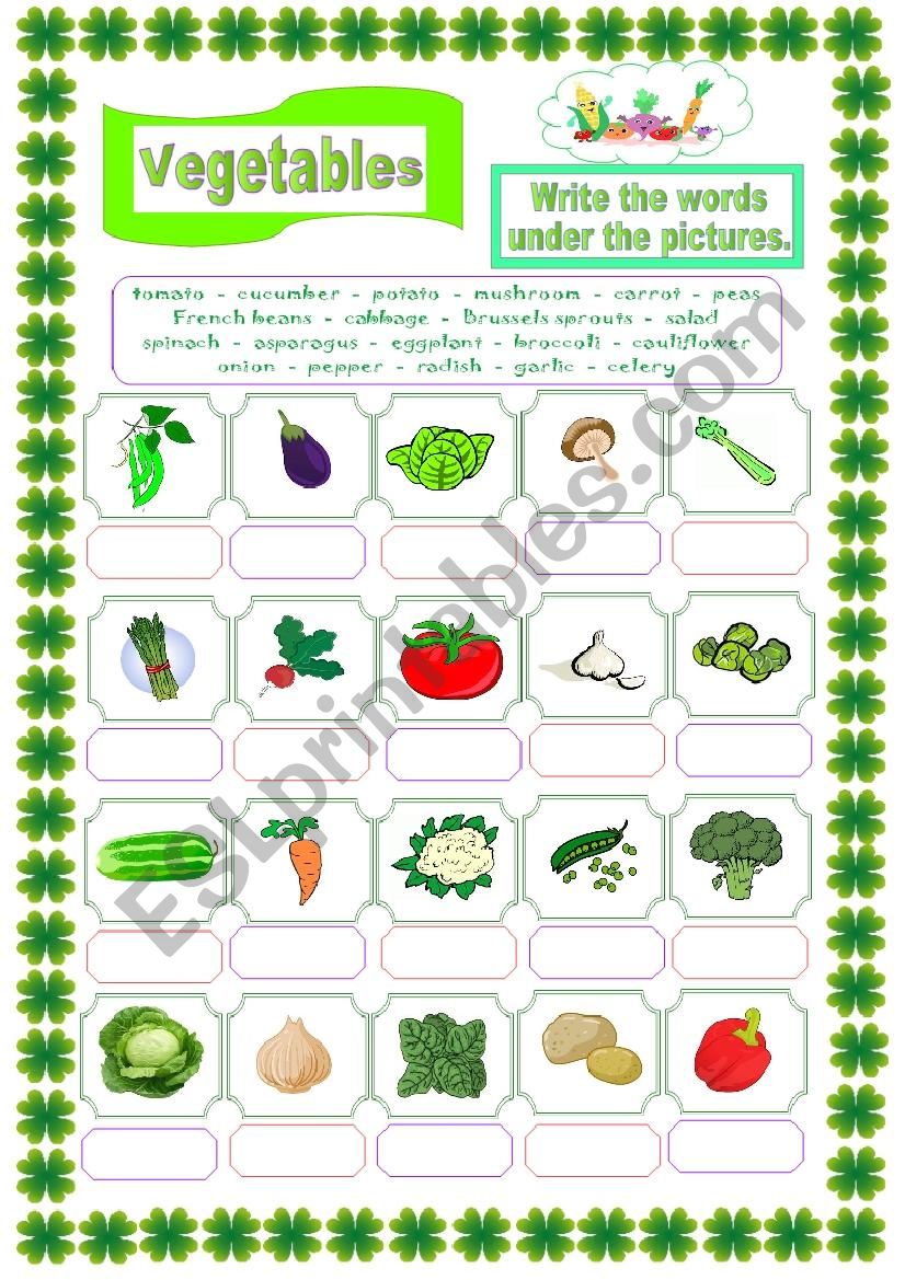 Vegetables worksheet