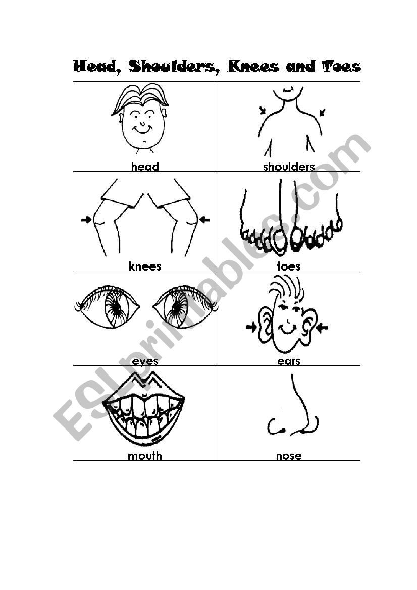 Body parts worksheet