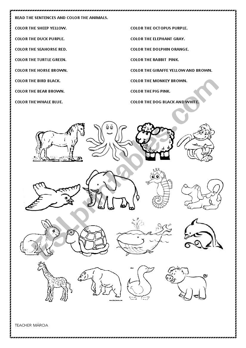 COLOR THE ANIMALS worksheet