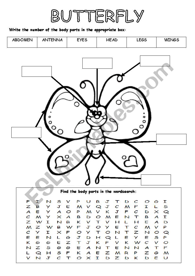 BUTTERFLY PARTS worksheet