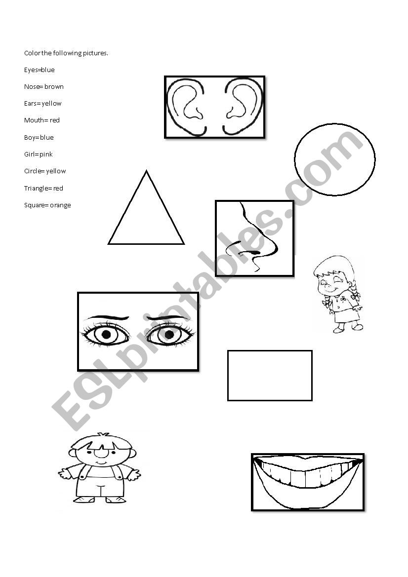 Parts of the face and shapes worksheet