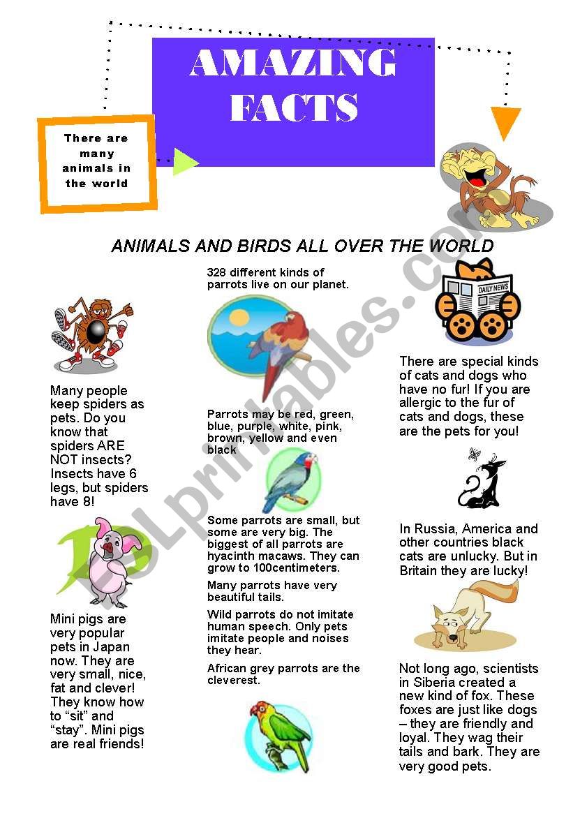 amazing facts worksheet