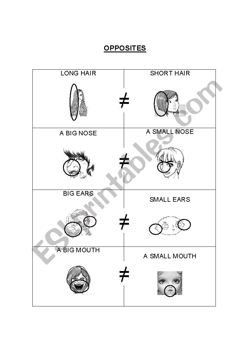 OPPOSITES worksheet