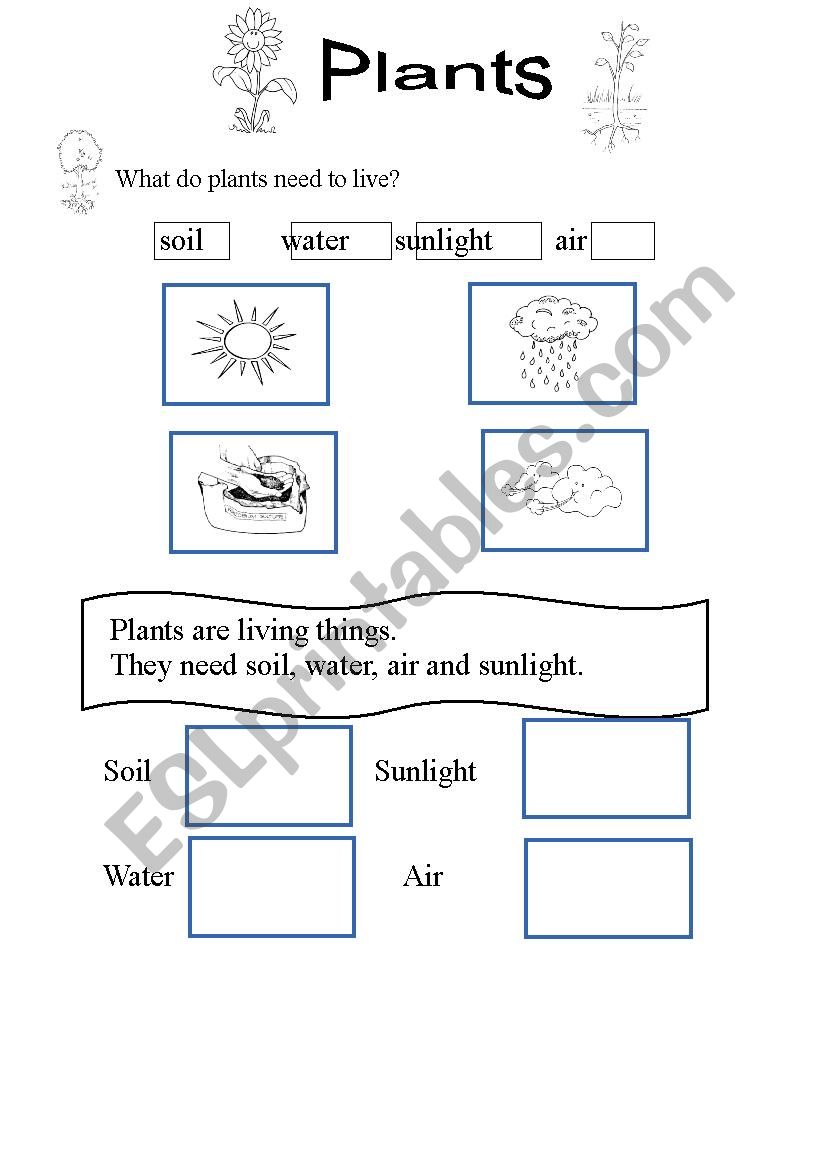 What do plants need to live? Plants 3