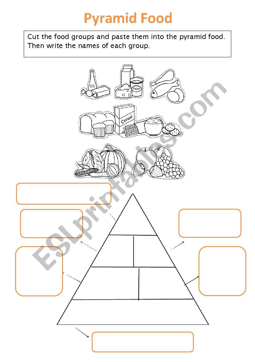 pyramid food worksheet