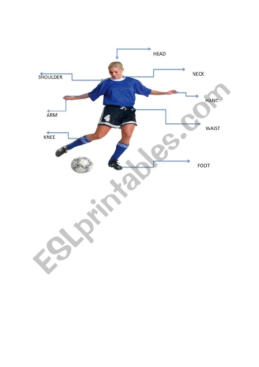 PARTS OF BODY worksheet