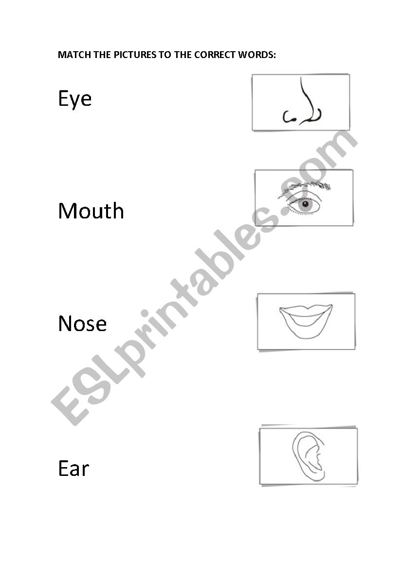 My Face worksheet