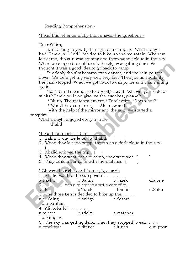 Reading Comprehension worksheet