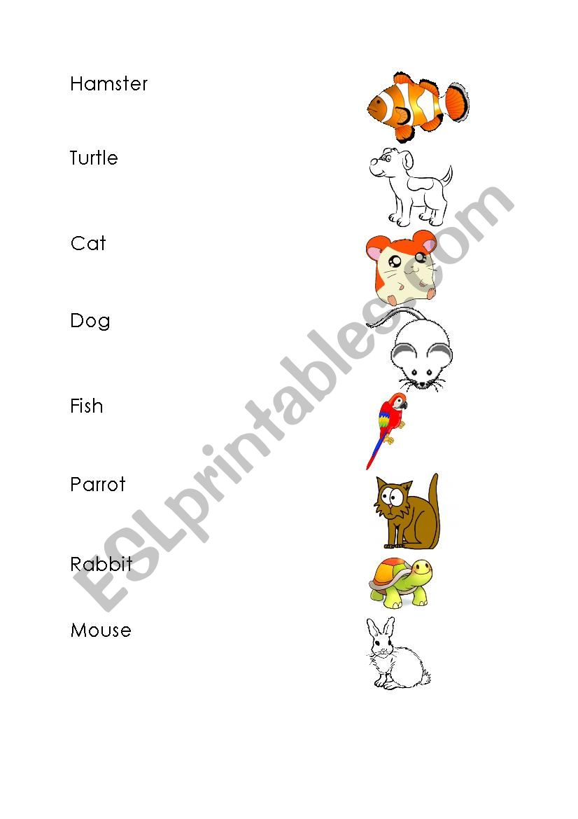 Animal matching sheet worksheet