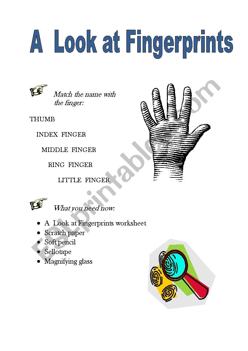 A Look at Fingerprints worksheet