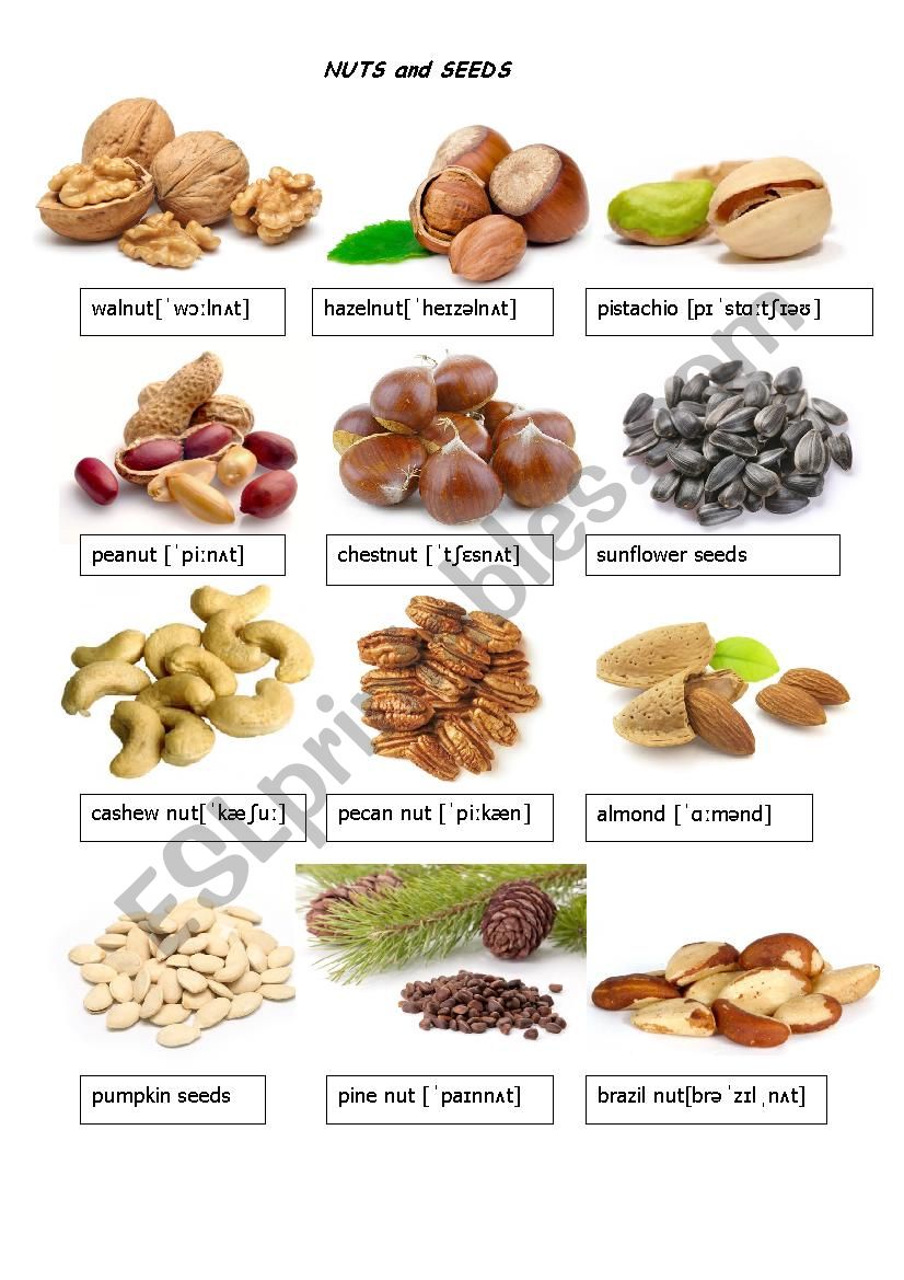 Nuts and seeds flashcards worksheet