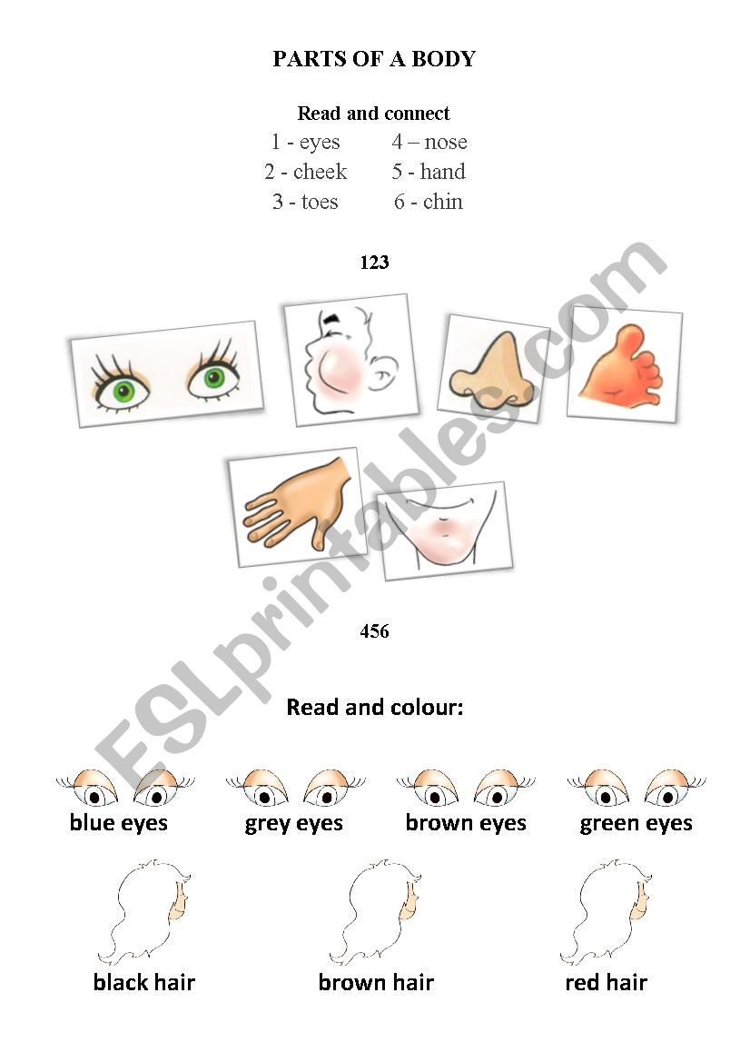 PARTS OF A BODY worksheet