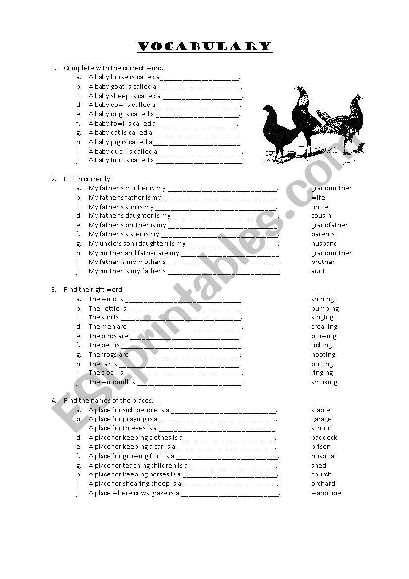 Vocabulary worksheet