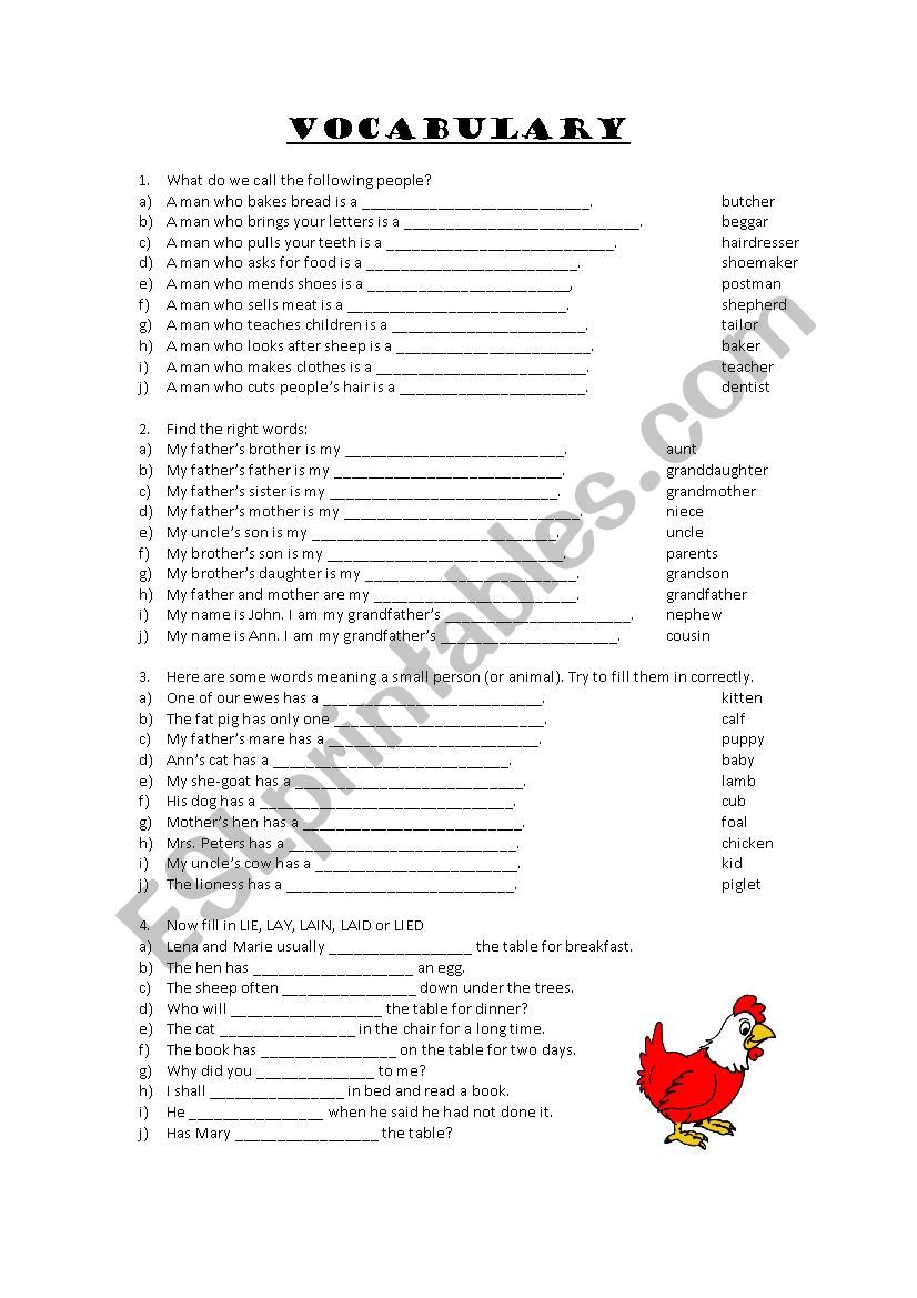 Vocabulary worksheet