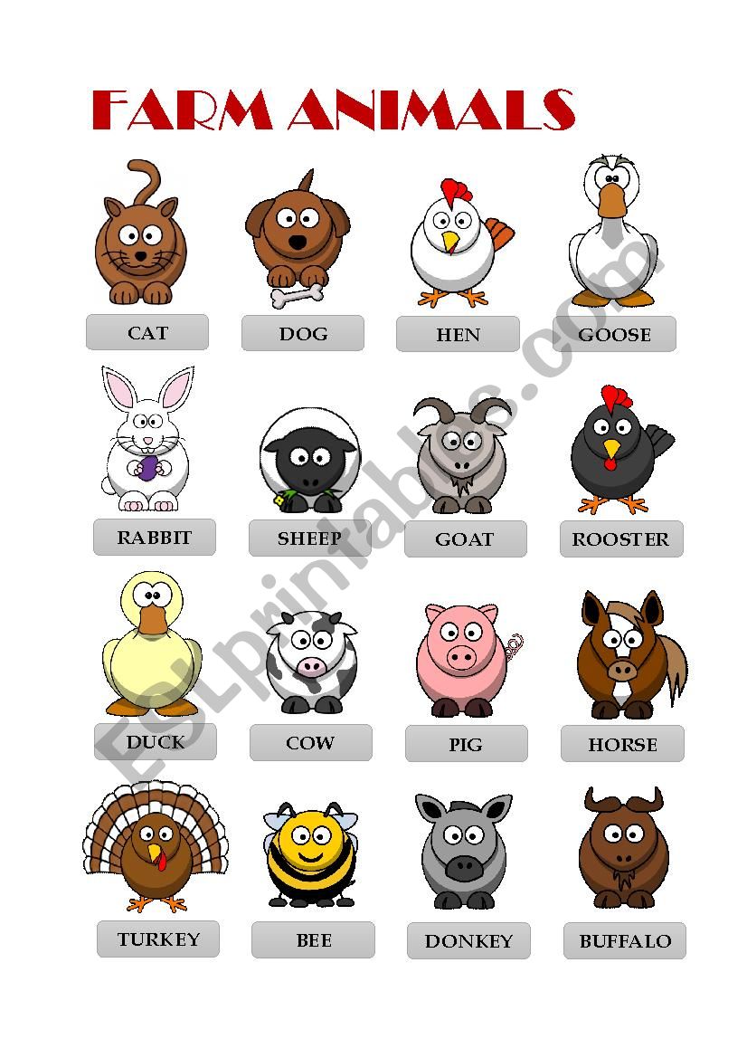 Farms Animals Pictionary worksheet