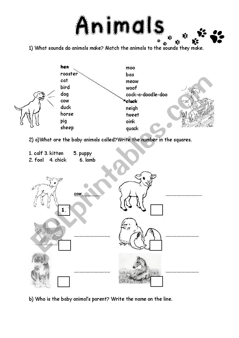 Animals worksheet