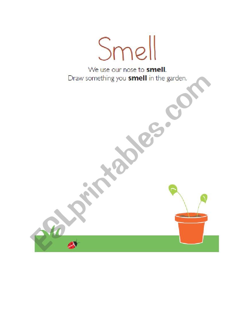 Smell worksheet