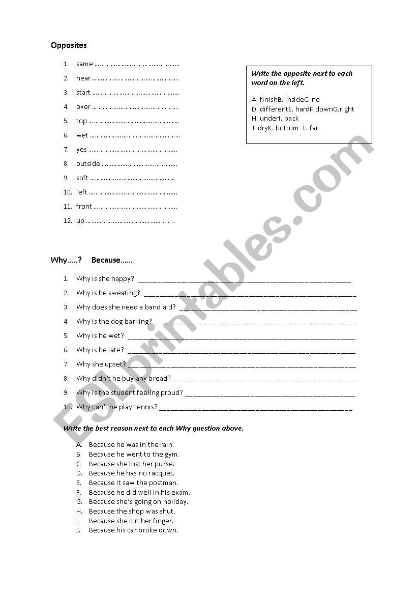 Vocabulary Practice Exercises worksheet