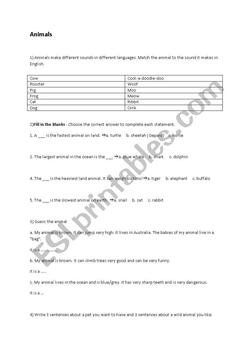 Animals worksheet