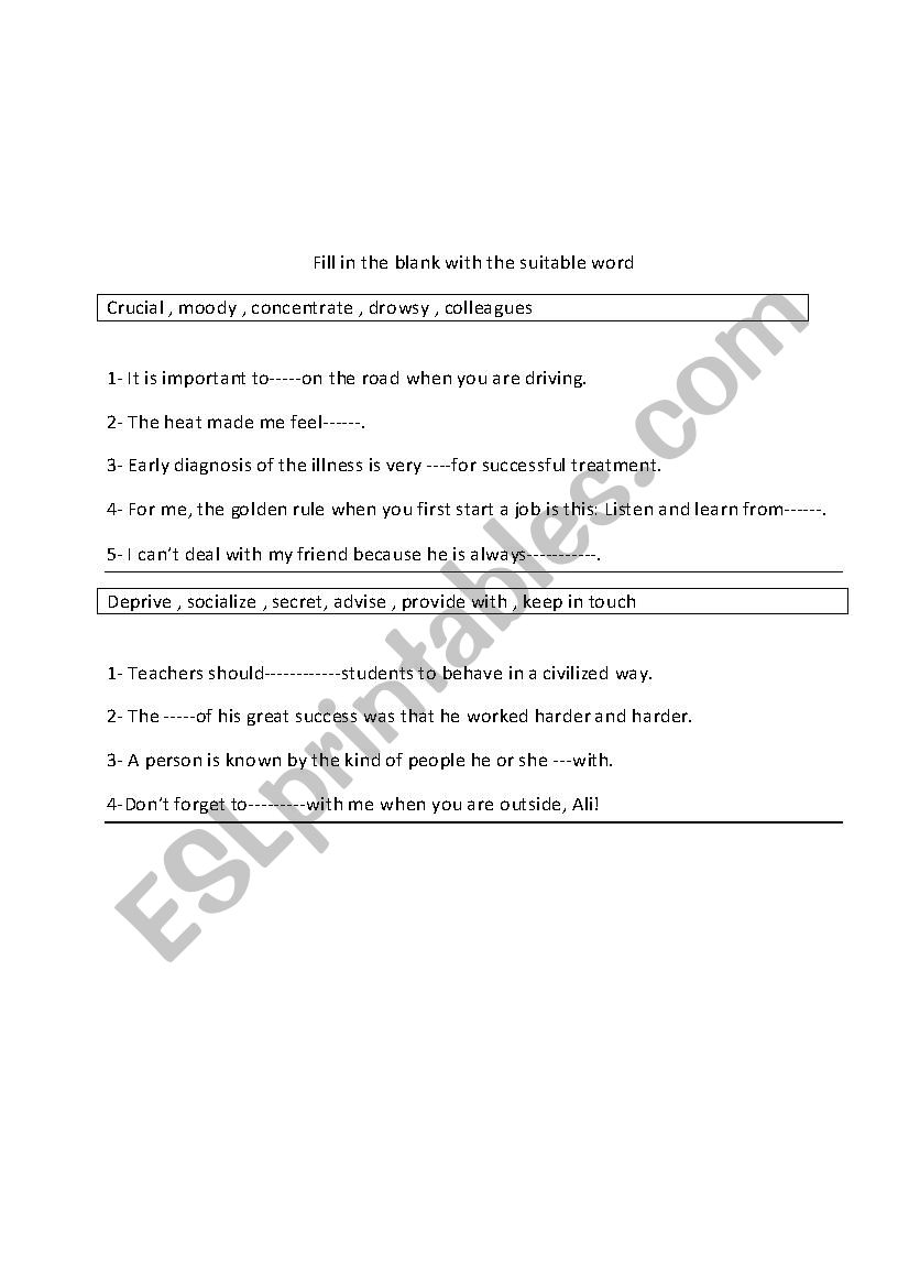 vocabulary  worksheet