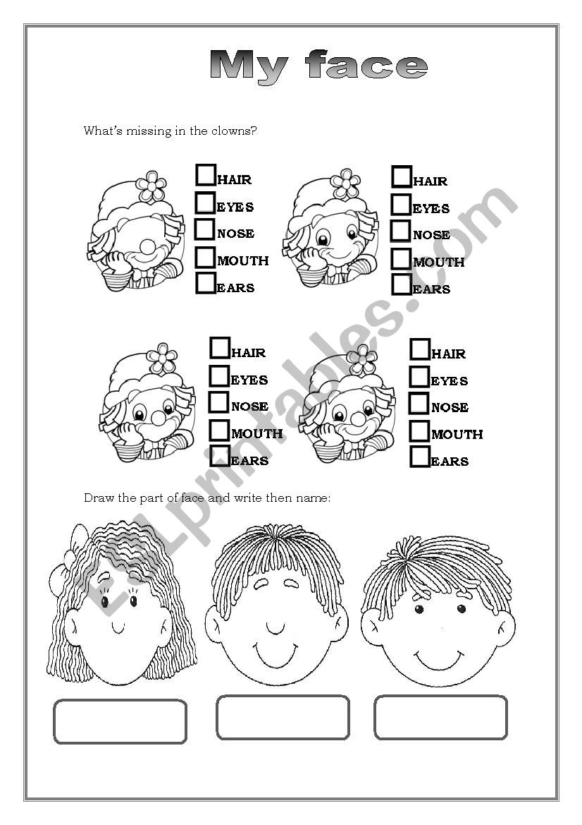 Face worksheet