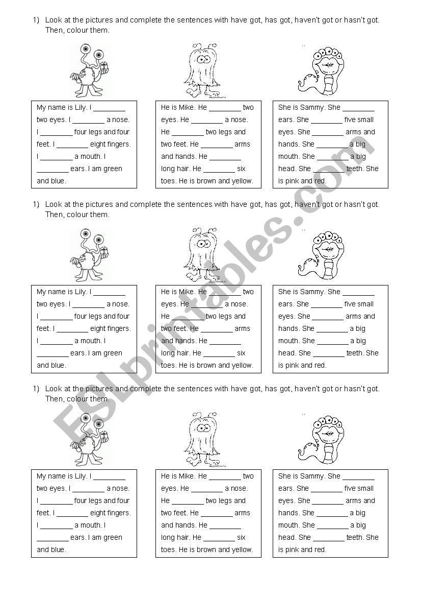 have got and has got worksheet
