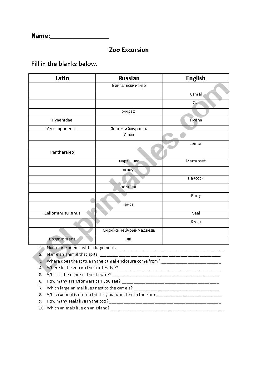 Zoo Excursion worksheet worksheet