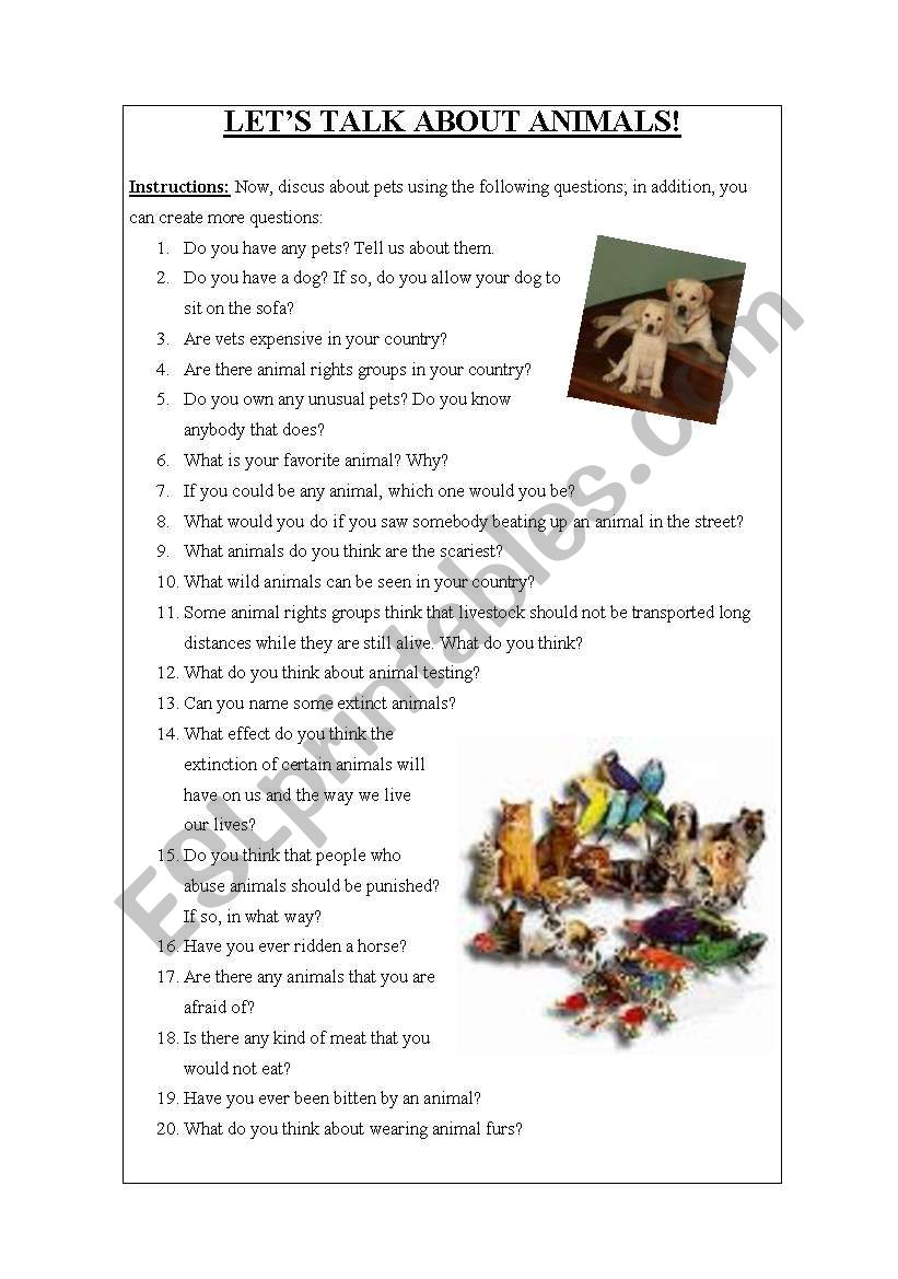 LETS TALK ABOUT ANIMALS! worksheet