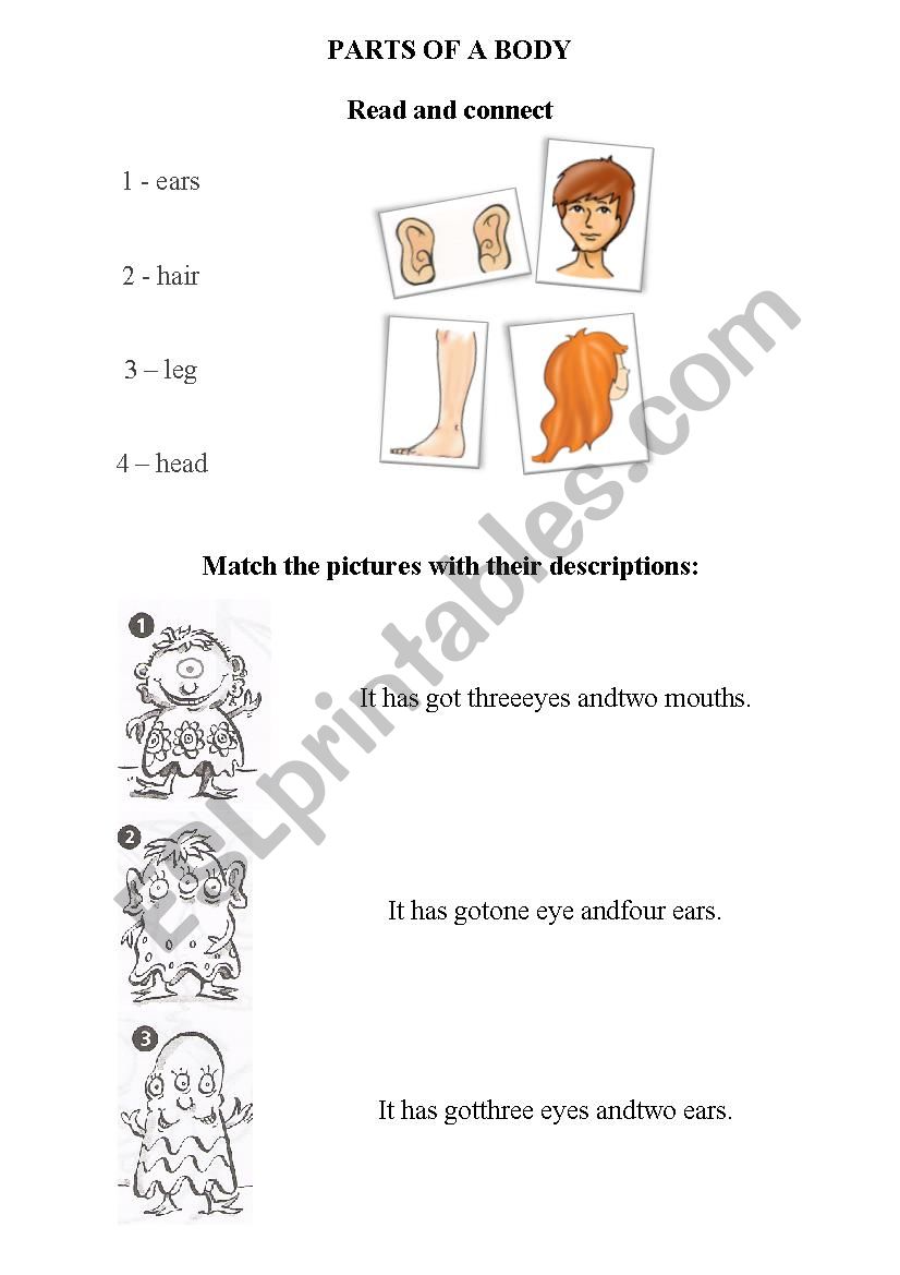 Parts of a body worksheet