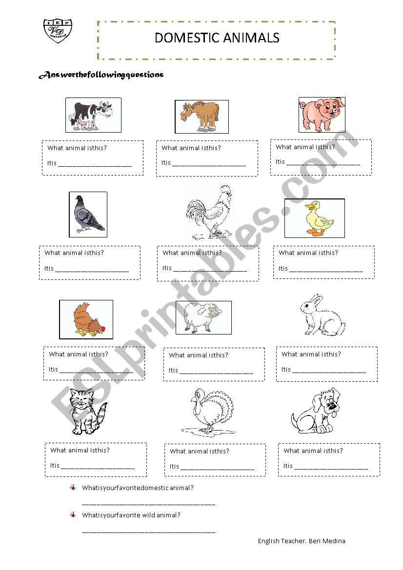 domestic animals worksheet worksheet