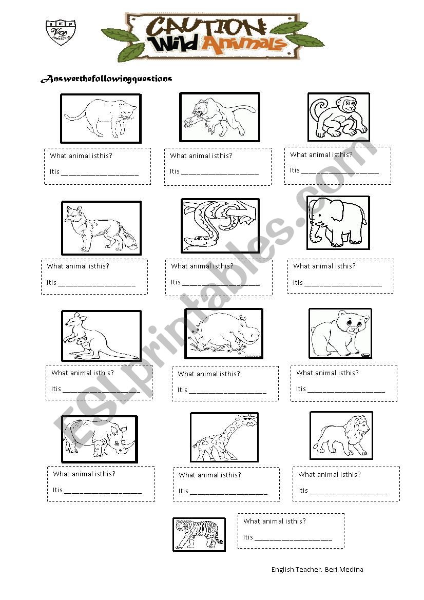 wild animals worksheet worksheet