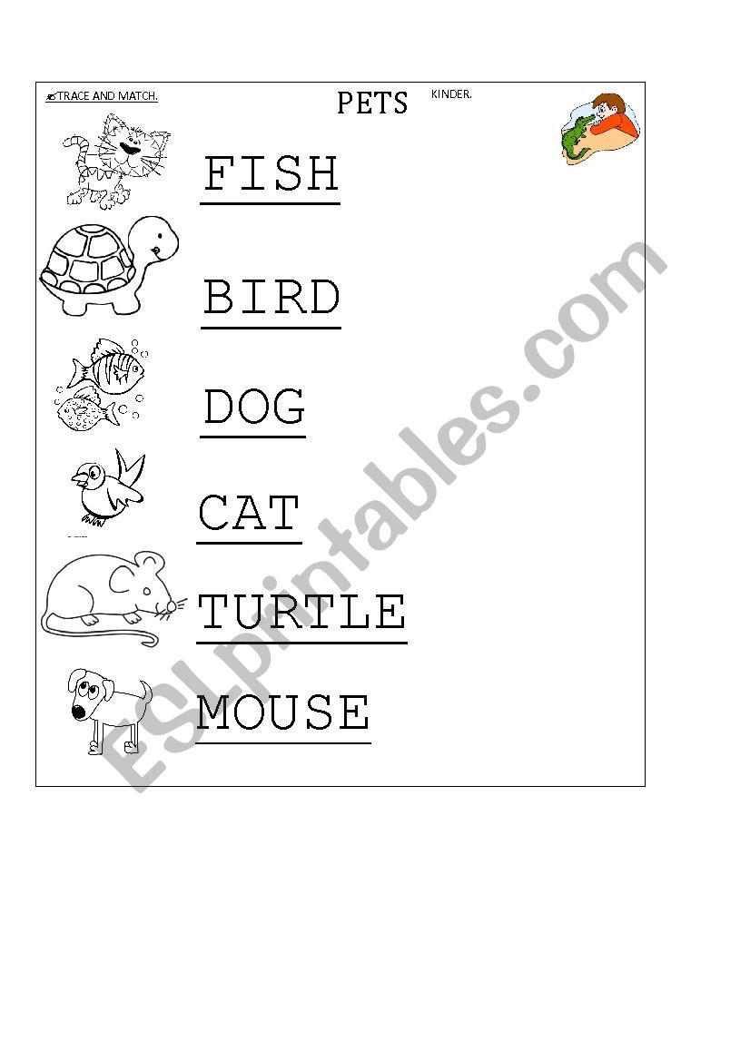 Pets matching worksheet