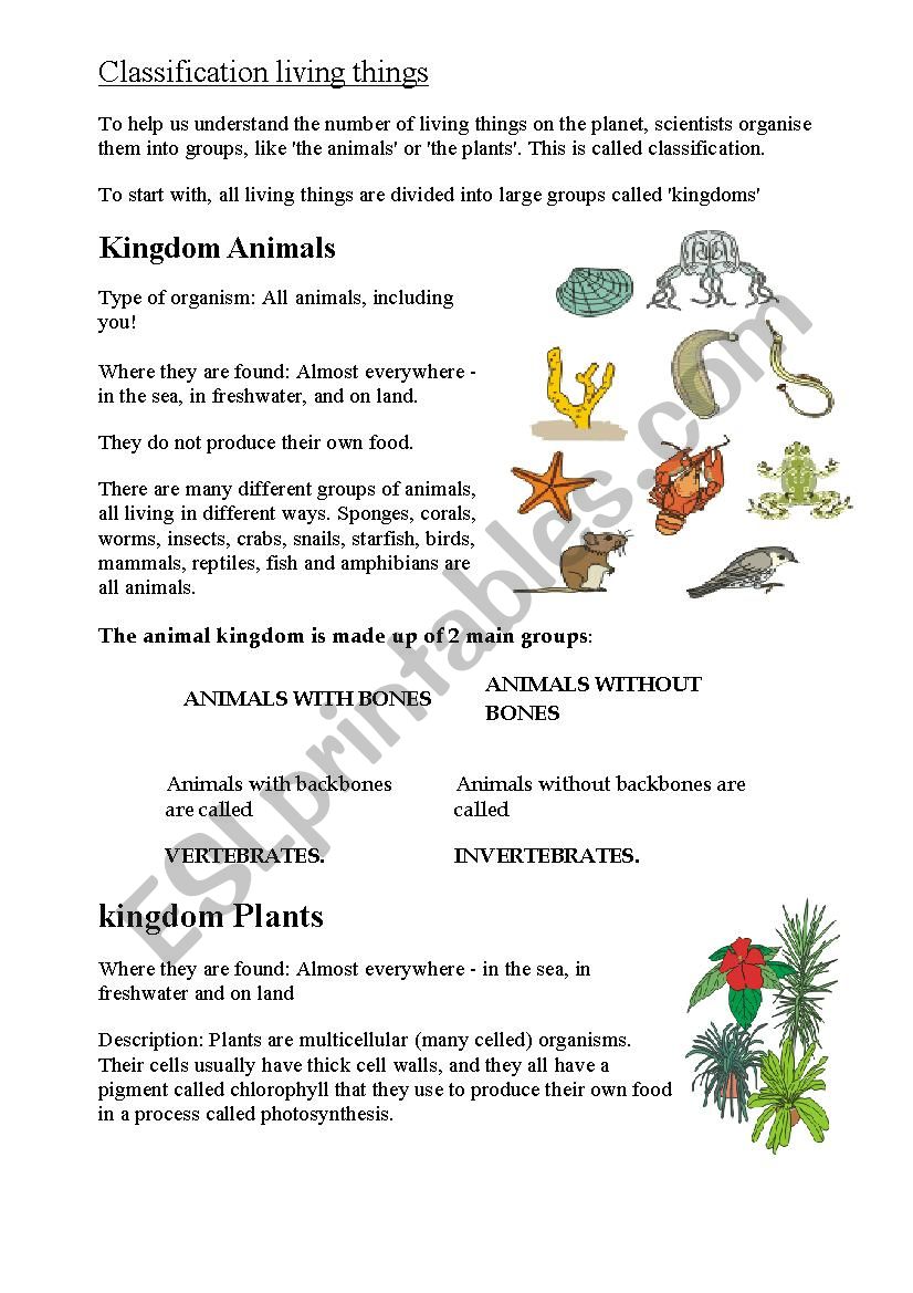 Kingdoms worksheet
