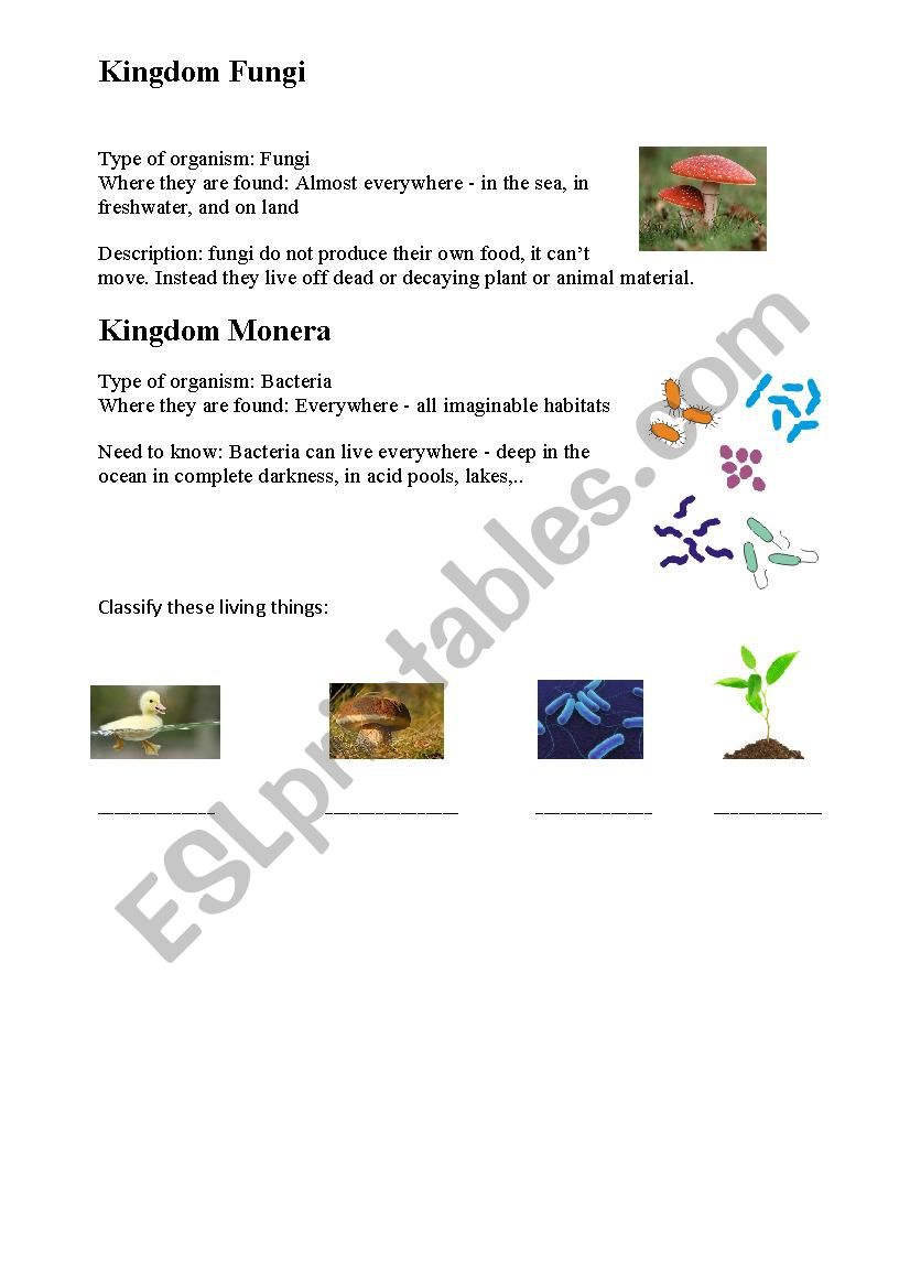 Kingdoms - ESL worksheet by ganadora