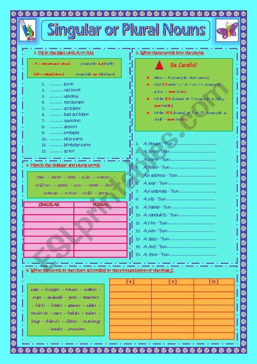 Singular or Plural Nouns worksheet