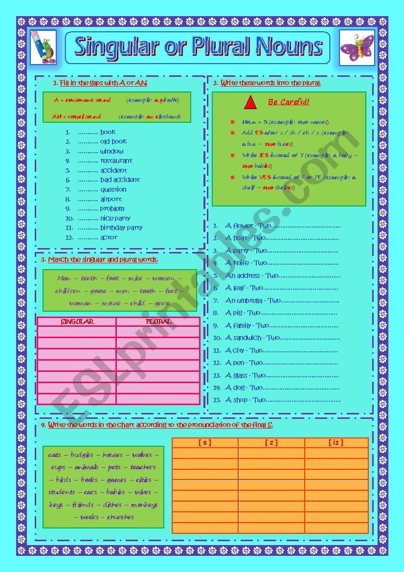 Singular or Plural Nouns worksheet