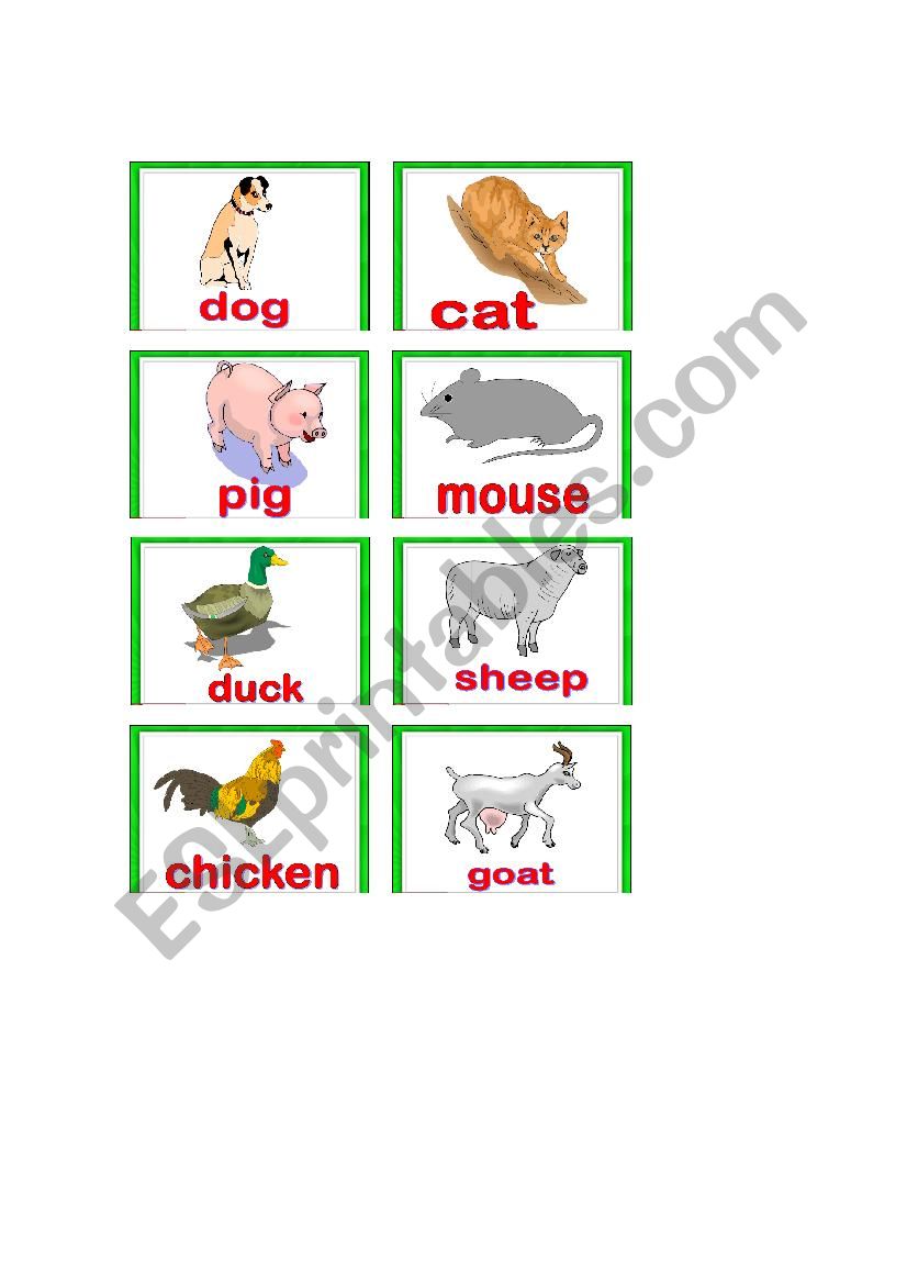 animals worksheet